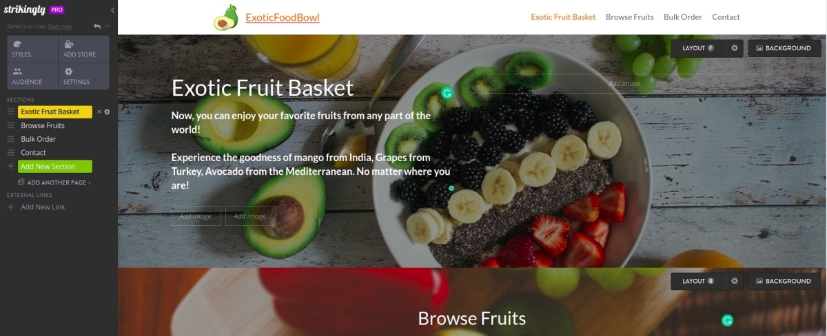 multilingual website multilingual website